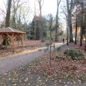 Geografisches Arboretum Rombergpark am 17,102018 (13)